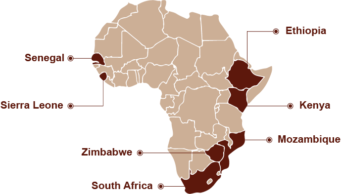 First 48 emergency medical services